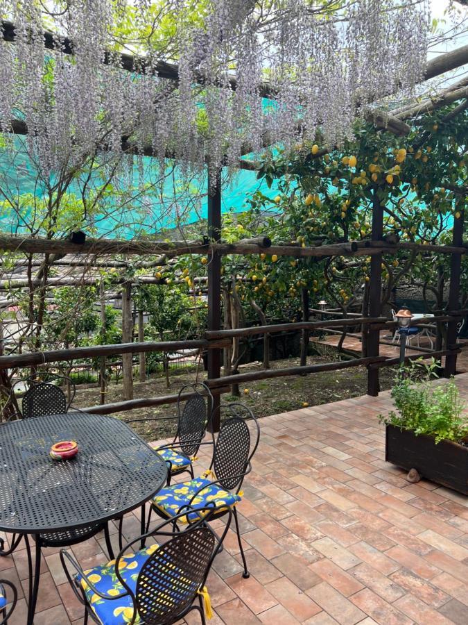 Il Limoneto Di Teresa Amalfi Coast Apartment Майори Екстериор снимка